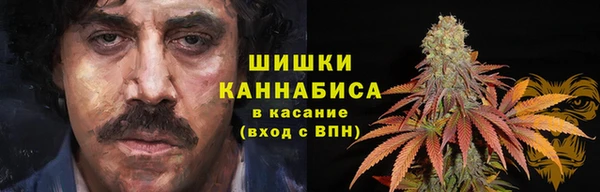 гидра Аркадак