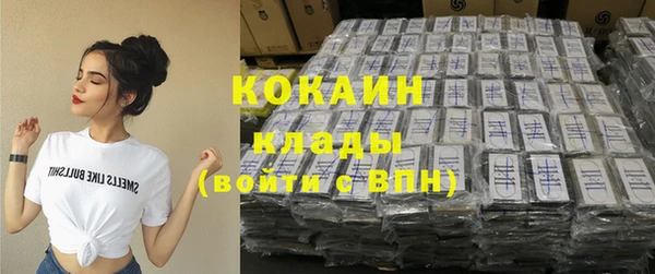 гашик Щигры