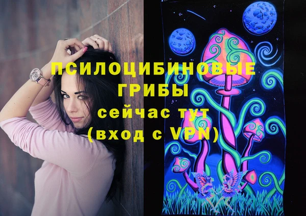 гидра Аркадак
